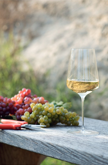 Wagram Wein Frühling