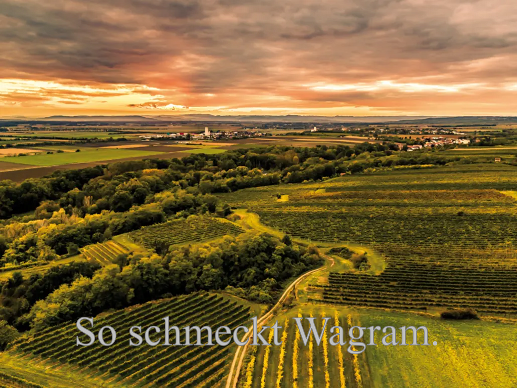 Bald ist es wieder soweit: AUGUST-HEURIGER 2025